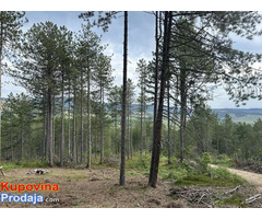 Na prodaju zemljiste, 80 ari, Tometino polje - Divčibare - Fotografija 4/8